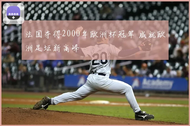 法国夺得2000年欧洲杯冠军 成就欧洲足坛新高峰