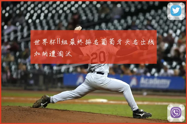 世界杯H组最终排名葡萄牙头名出线加纳遭淘汰