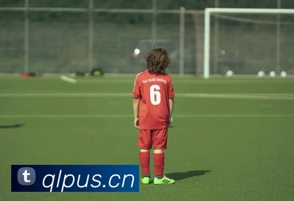 华体会体育·(sports)官方网站APP 封面图